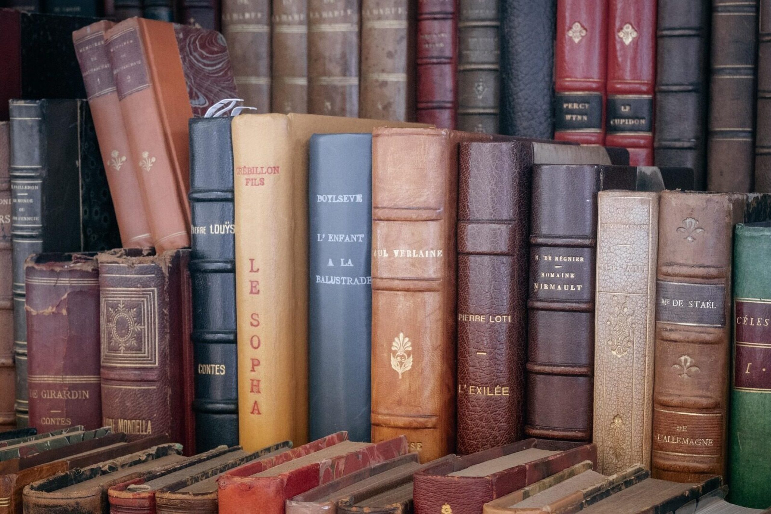 analogicus-books-8594725_1920